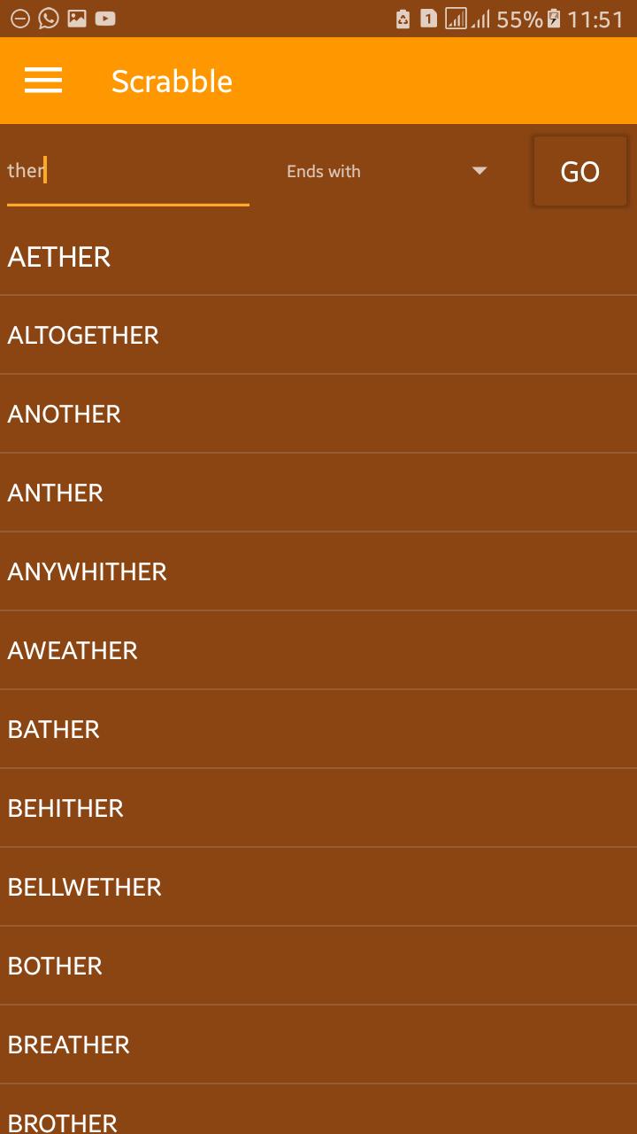 Word Solver Pro