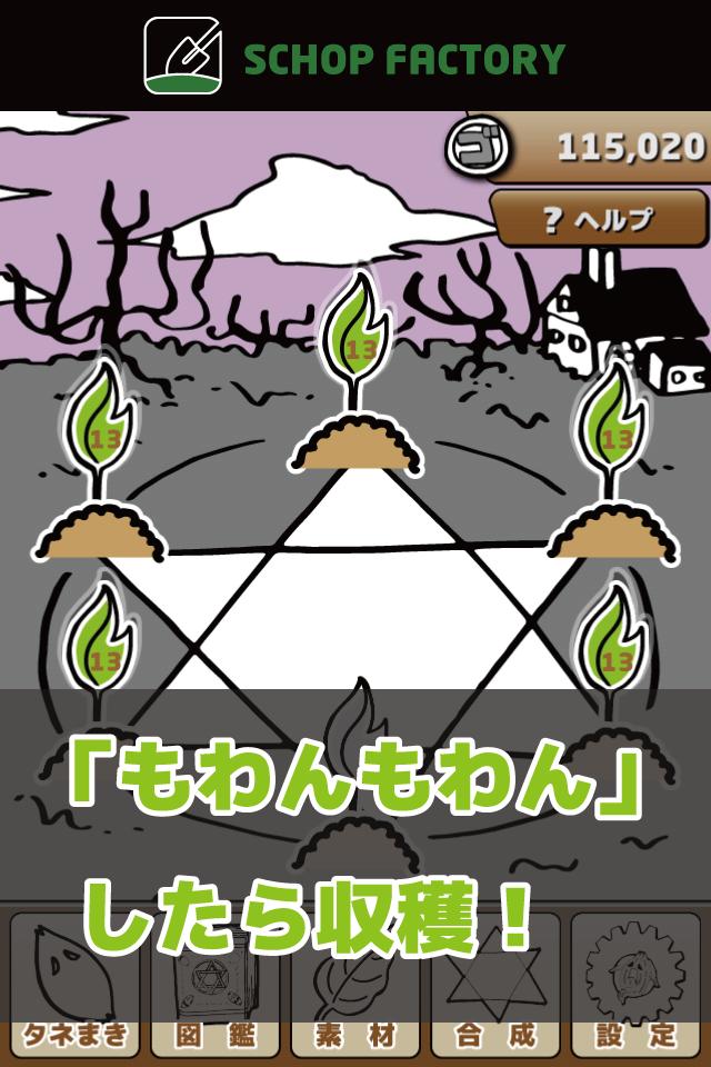Mandragora