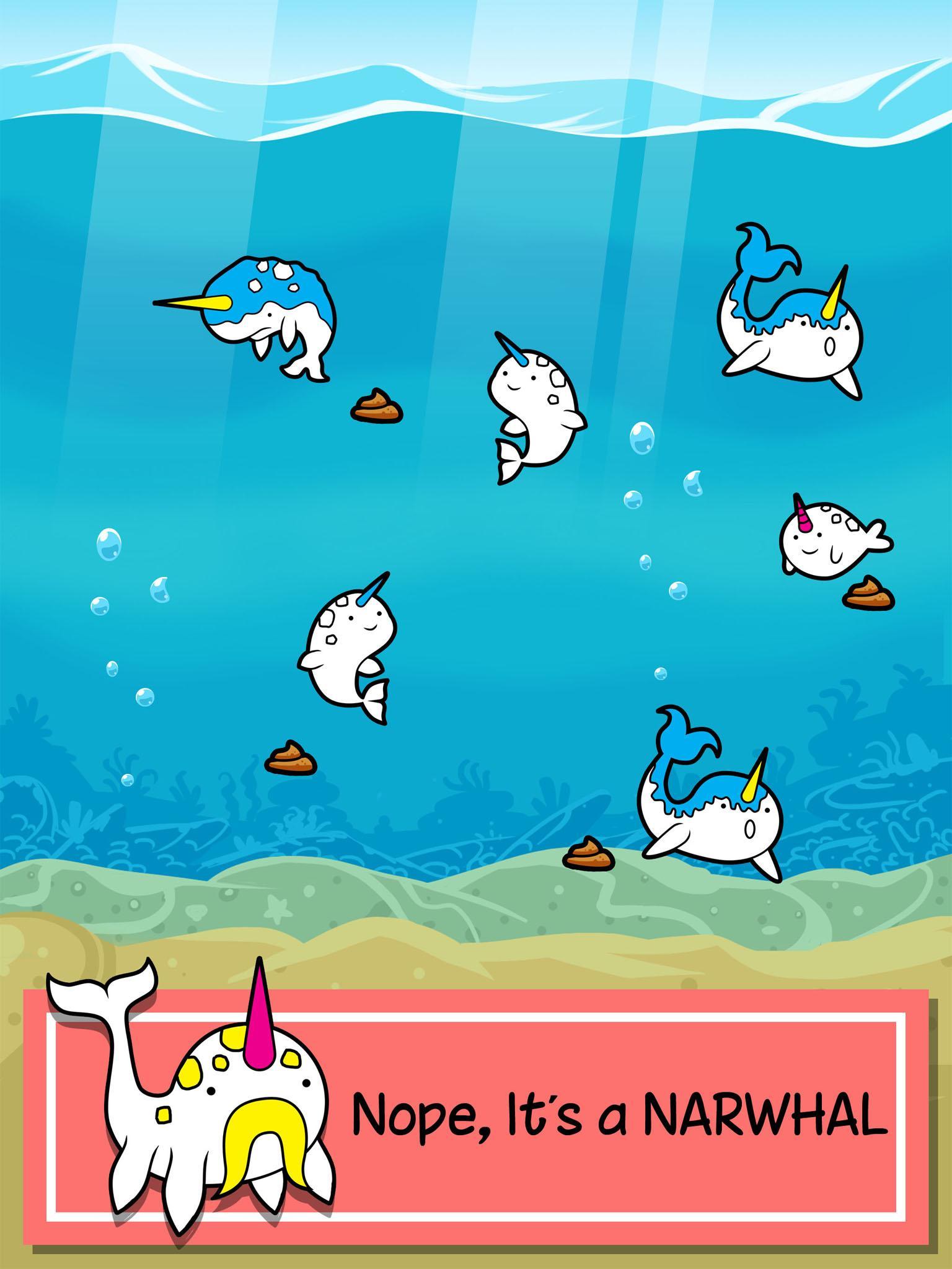 Narwhal Evolution