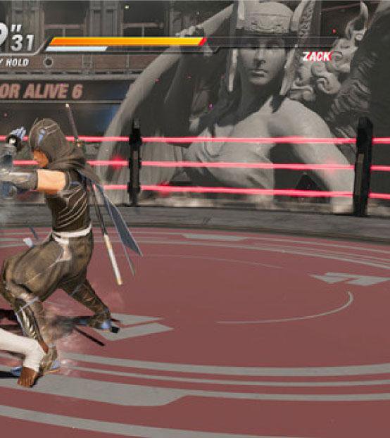 New DEAD OR ALIVE 6 - DOA 6 Companion