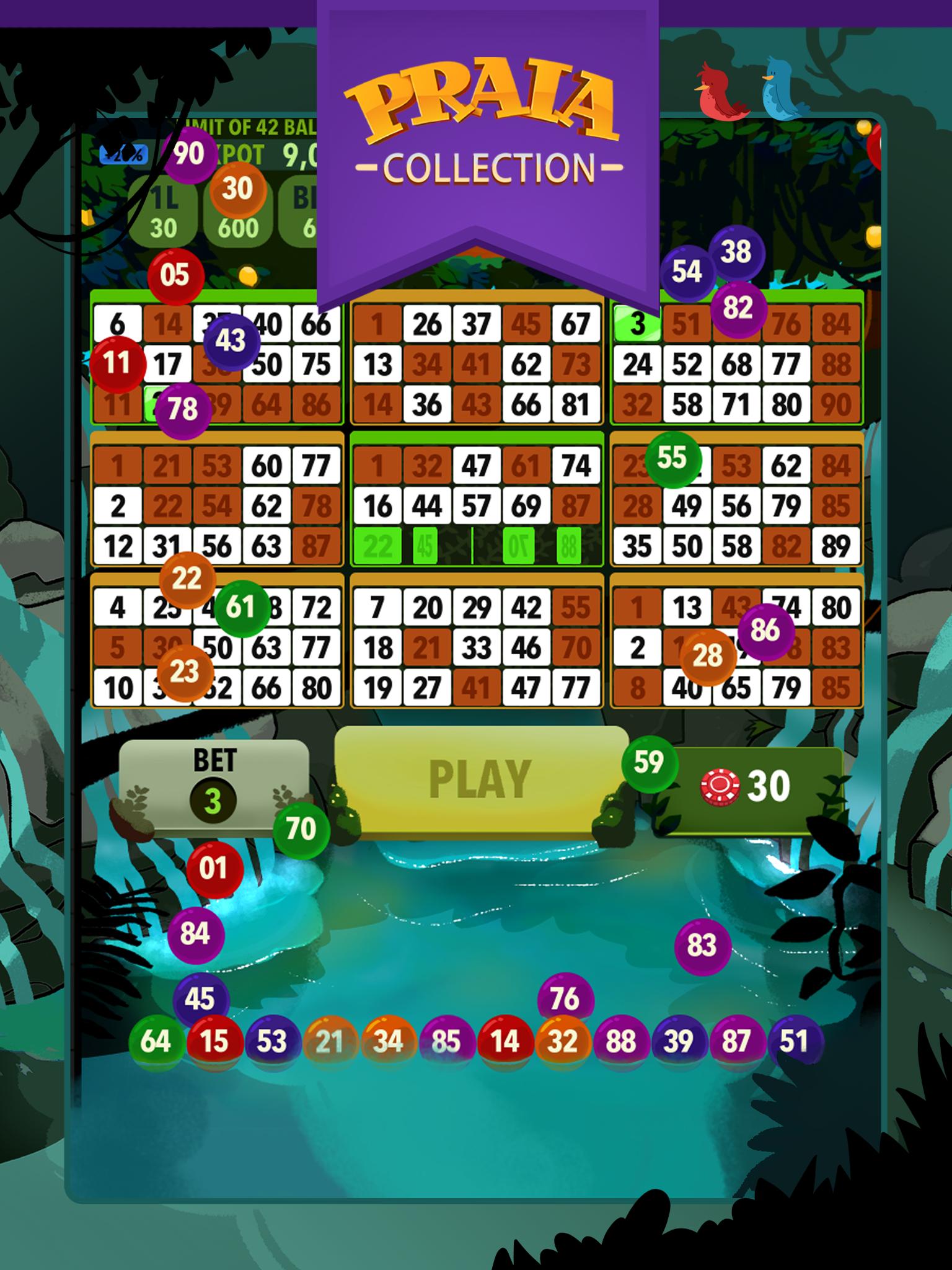 Video Bingo Ubatuba