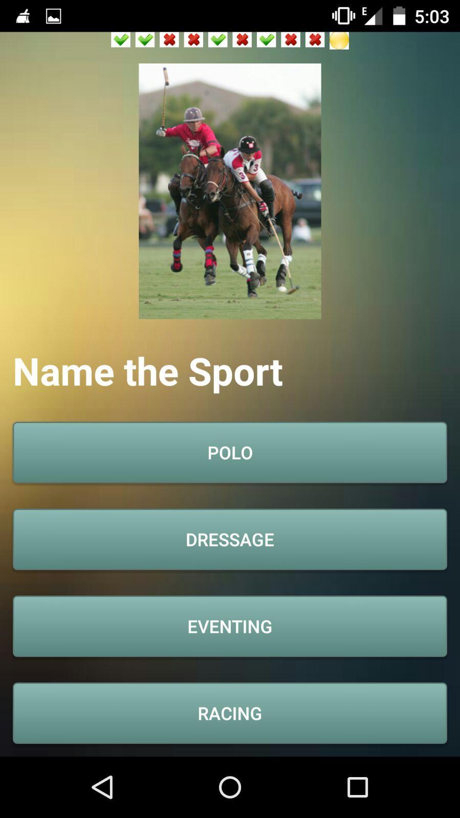 Horse Challenge