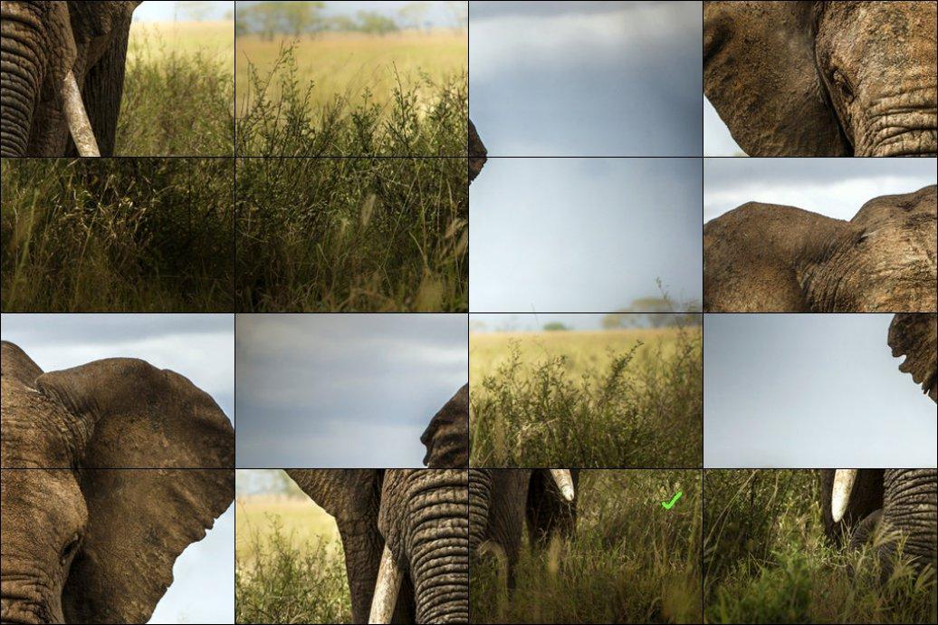 Jigsaw Animals Game