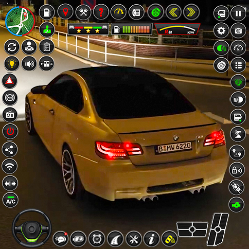 Real Car Driving Car Parking