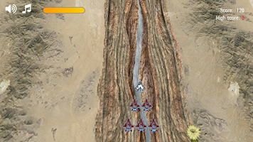 Desert Flight Combat