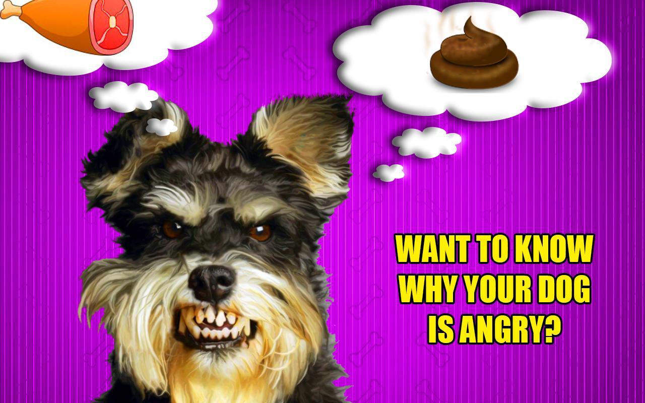 Dog Simulator: Mind scanner