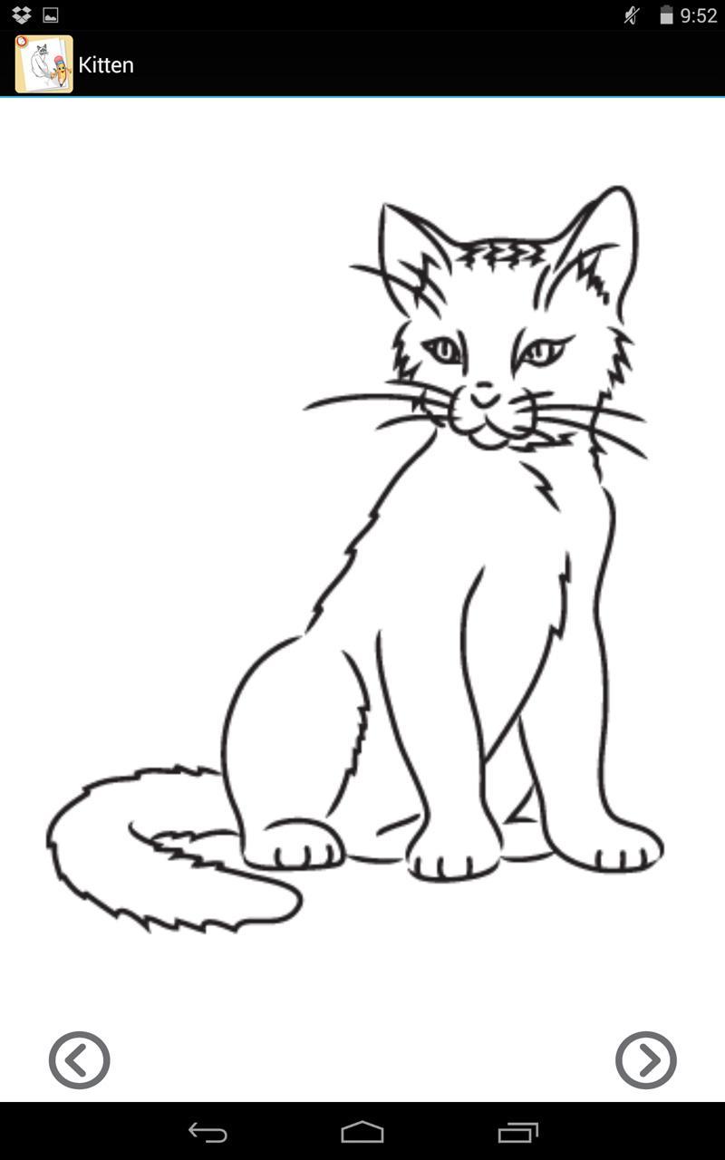Lets Draw Cats and Dogs