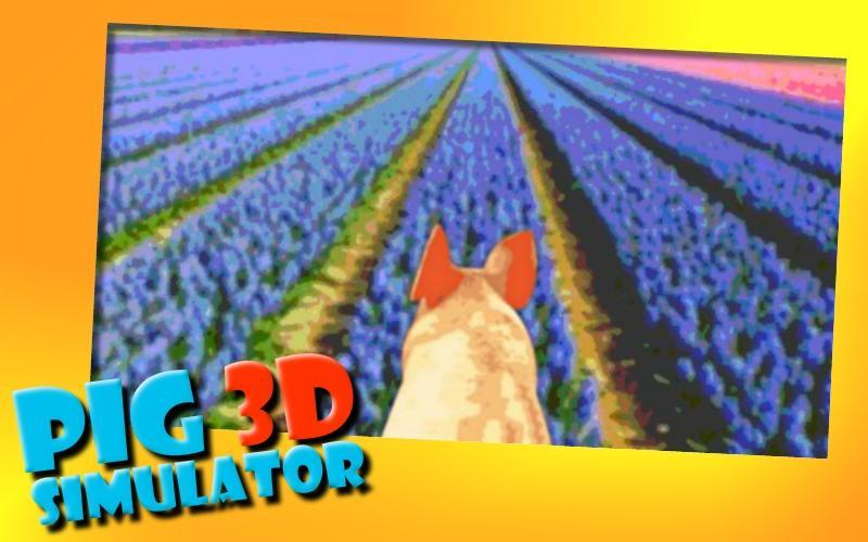Pigs 3D Simulator
