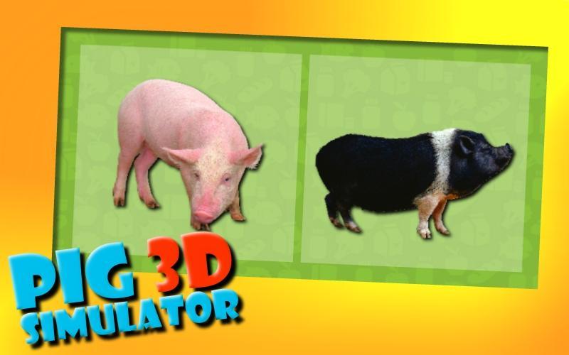 Pigs 3D Simulator
