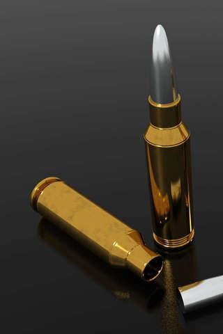 Bullet Puzzle