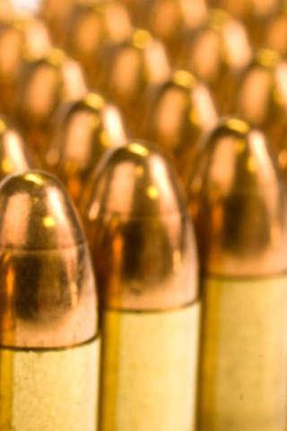 Bullet Puzzle