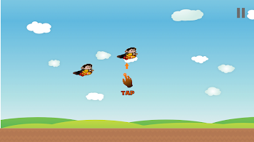 Flying Zuperman
