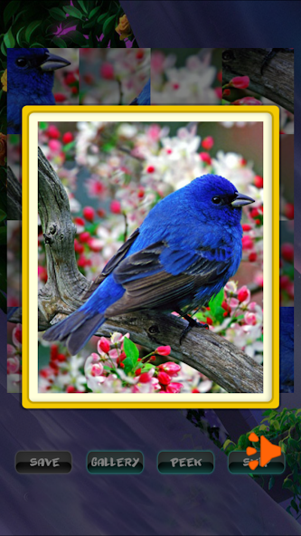 Spring Festive Puzzle